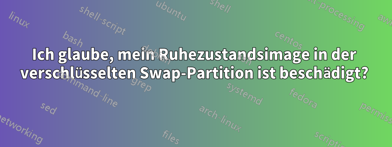 Ich glaube, mein Ruhezustandsimage in der verschlüsselten Swap-Partition ist beschädigt?