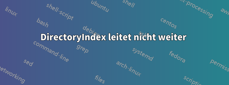 DirectoryIndex leitet nicht weiter