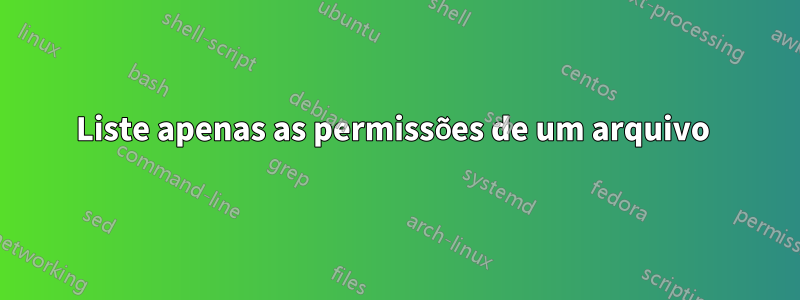 Liste apenas as permissões de um arquivo