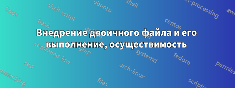 Внедрение двоичного файла и его выполнение, осуществимость