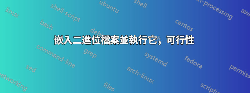 嵌入二進位檔案並執行它，可行性