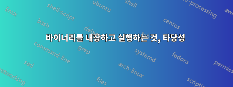 바이너리를 내장하고 실행하는 것, 타당성