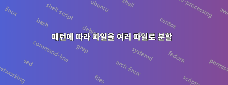 패턴에 따라 파일을 여러 파일로 분할 