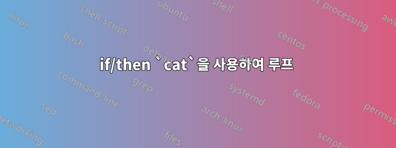 if/then `cat`을 사용하여 루프