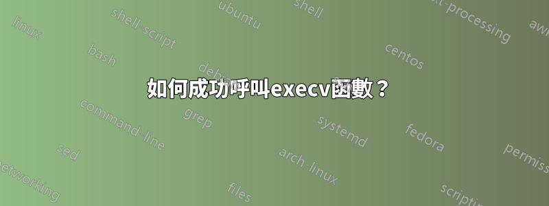 如何成功呼叫execv函數？ 
