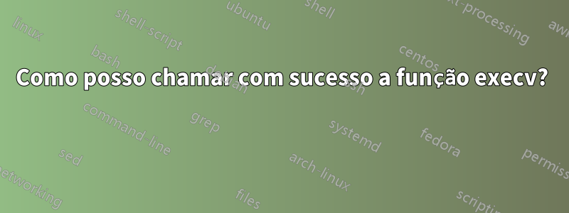 Como posso chamar com sucesso a função execv?