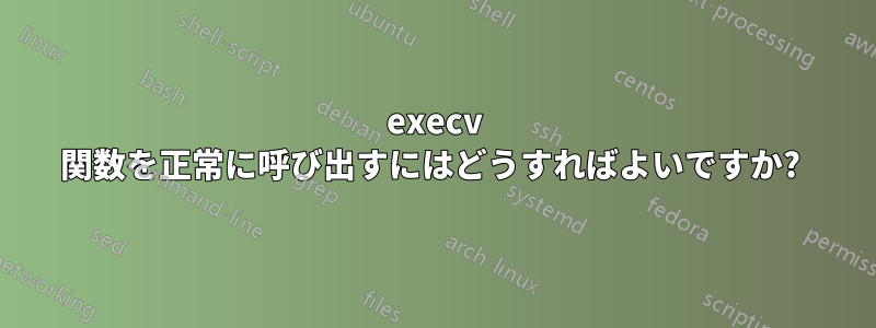 execv 関数を正常に呼び出すにはどうすればよいですか? 