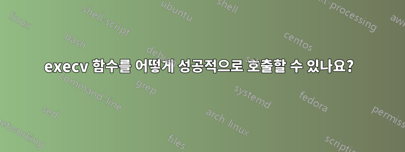 execv 함수를 어떻게 성공적으로 호출할 수 있나요?