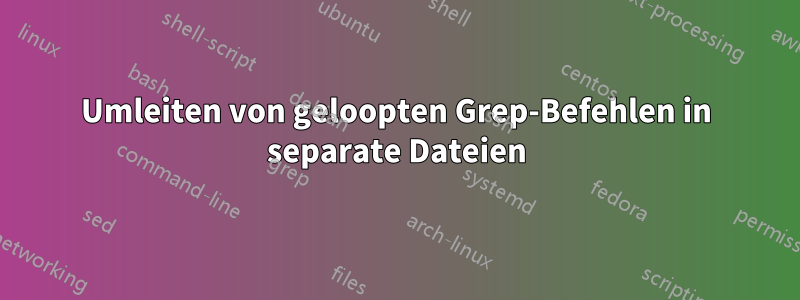 Umleiten von geloopten Grep-Befehlen in separate Dateien