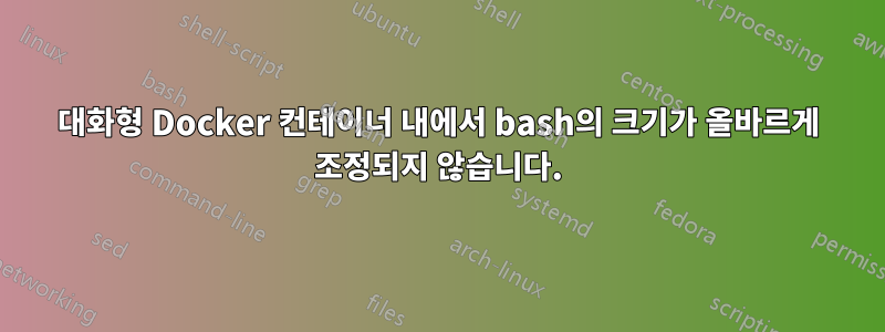 대화형 Docker 컨테이너 내에서 bash의 크기가 올바르게 조정되지 않습니다.