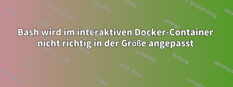 Bash wird im interaktiven Docker-Container nicht richtig in der Größe angepasst