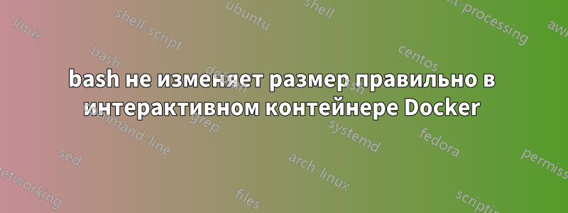 bash не изменяет размер правильно в интерактивном контейнере Docker
