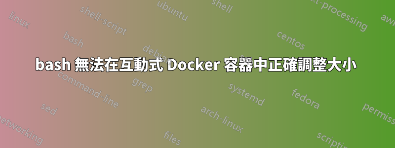 bash 無法在互動式 Docker 容器中正確調整大小