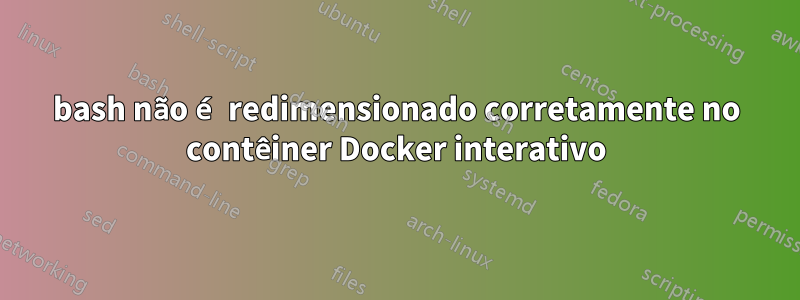 bash não é redimensionado corretamente no contêiner Docker interativo