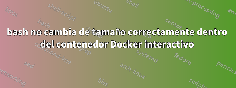 bash no cambia de tamaño correctamente dentro del contenedor Docker interactivo