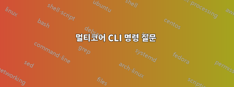 멀티코어 CLI 명령 질문