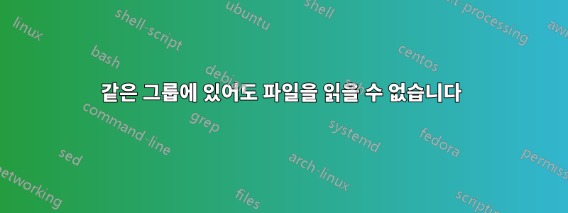 같은 그룹에 있어도 파일을 읽을 수 없습니다