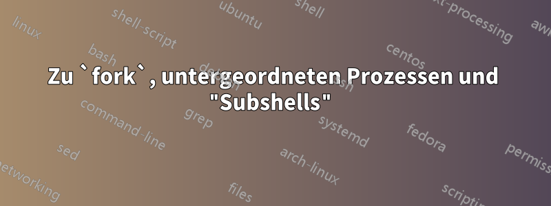 Zu `fork`, untergeordneten Prozessen und "Subshells"
