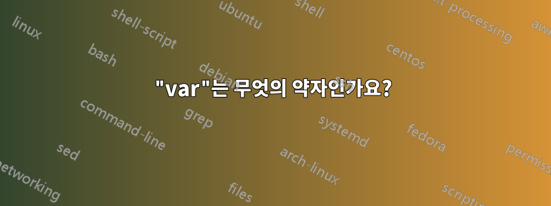 "var"는 무엇의 약자인가요?
