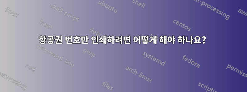 항공권 번호만 인쇄하려면 어떻게 해야 하나요?