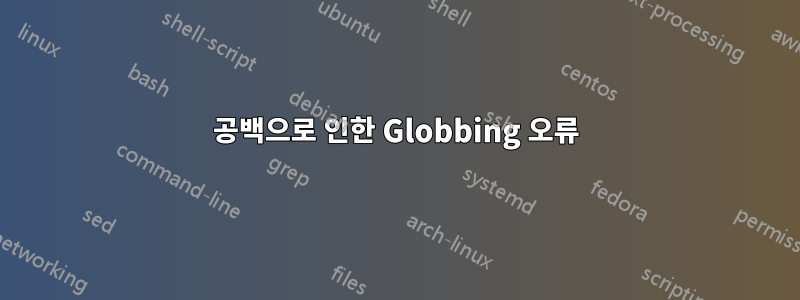 공백으로 인한 Globbing 오류