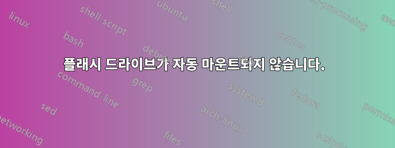 플래시 드라이브가 자동 마운트되지 않습니다. 