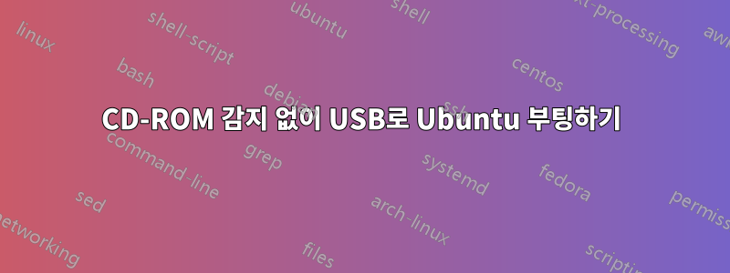 CD-ROM 감지 없이 ​​USB로 Ubuntu 부팅하기