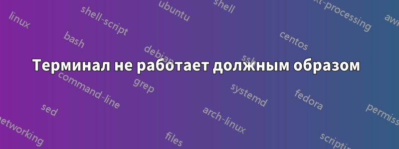 Терминал не работает должным образом 