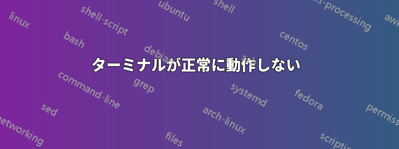 ターミナルが正常に動作しない 
