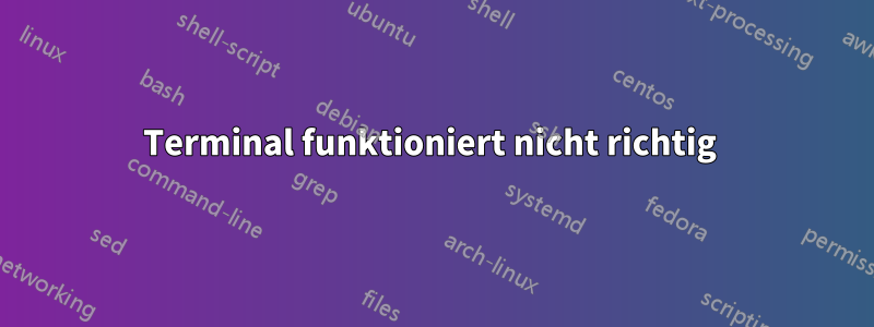 Terminal funktioniert nicht richtig 