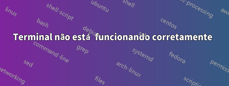 Terminal não está funcionando corretamente 