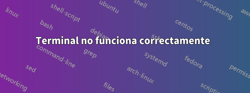 Terminal no funciona correctamente 