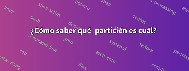 ¿Cómo saber qué partición es cuál?