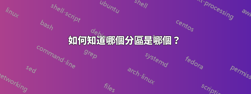 如何知道哪個分區是哪個？