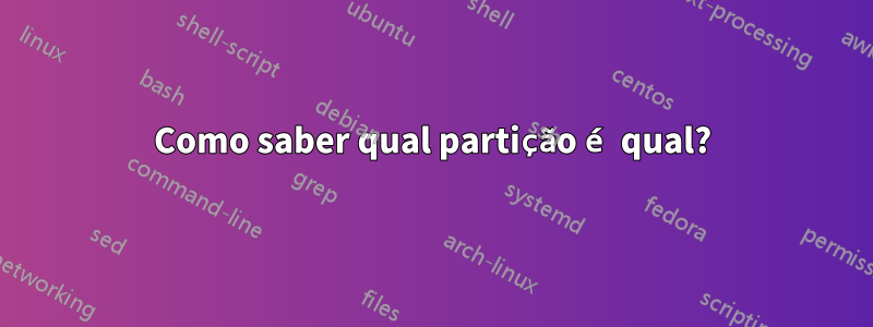 Como saber qual partição é qual?