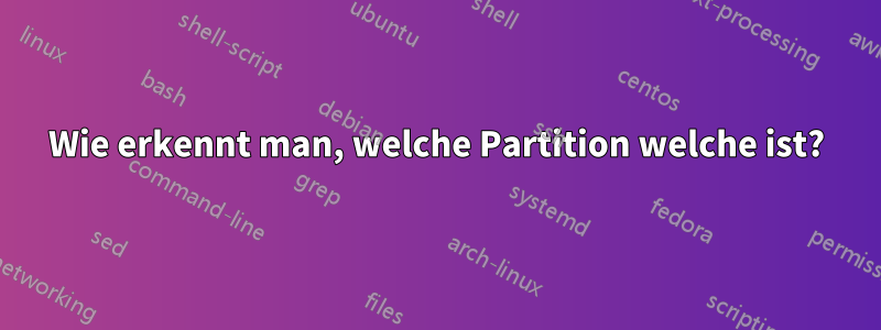 Wie erkennt man, welche Partition welche ist?