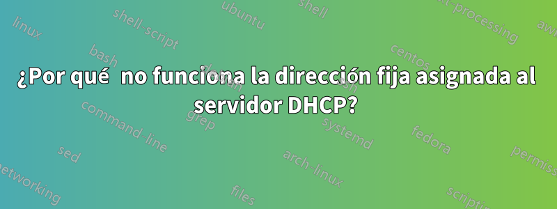 ¿Por qué no funciona la dirección fija asignada al servidor DHCP?