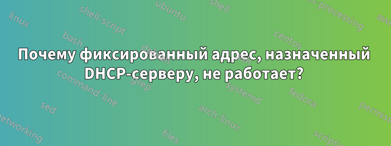 Почему фиксированный адрес, назначенный DHCP-серверу, не работает?