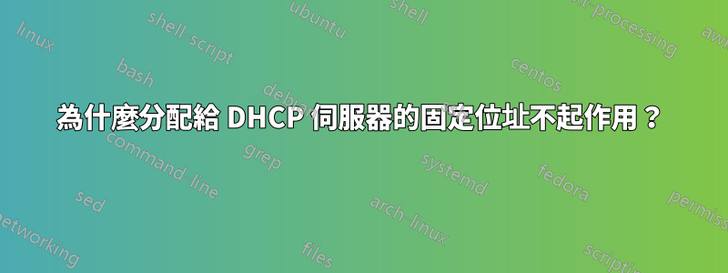 為什麼分配給 DHCP 伺服器的固定位址不起作用？