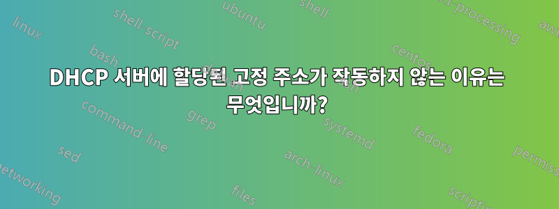 DHCP 서버에 할당된 고정 주소가 작동하지 않는 이유는 무엇입니까?
