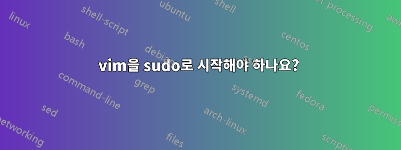 vim을 sudo로 시작해야 하나요?