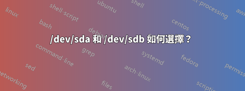 /dev/sda 和 /dev/sdb 如何選擇？