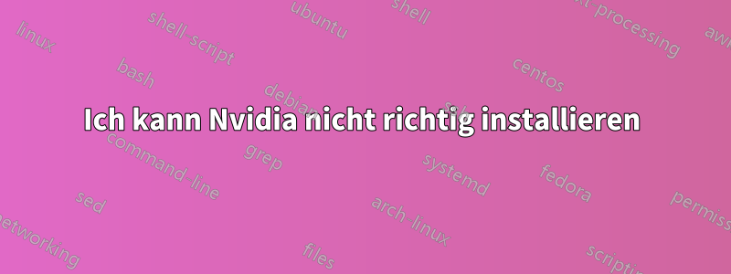 Ich kann Nvidia nicht richtig installieren