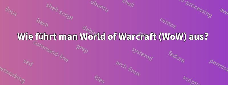 Wie führt man World of Warcraft (WoW) aus?