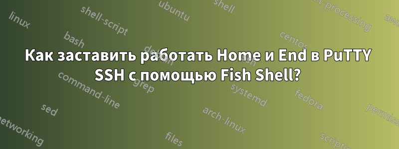 Как заставить работать Home и End в PuTTY SSH с помощью Fish Shell?