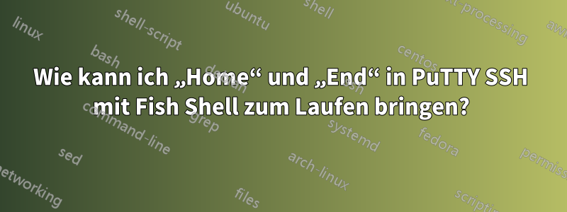 Wie kann ich „Home“ und „End“ in PuTTY SSH mit Fish Shell zum Laufen bringen?