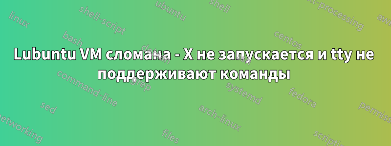 Lubuntu VM сломана - X не запускается и tty не поддерживают команды