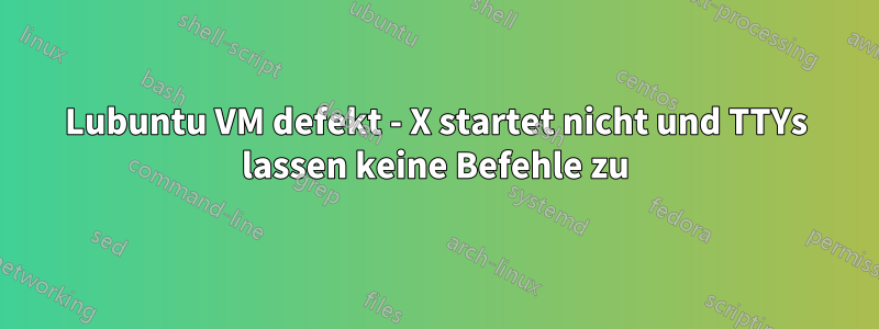 Lubuntu VM defekt - X startet nicht und TTYs lassen keine Befehle zu