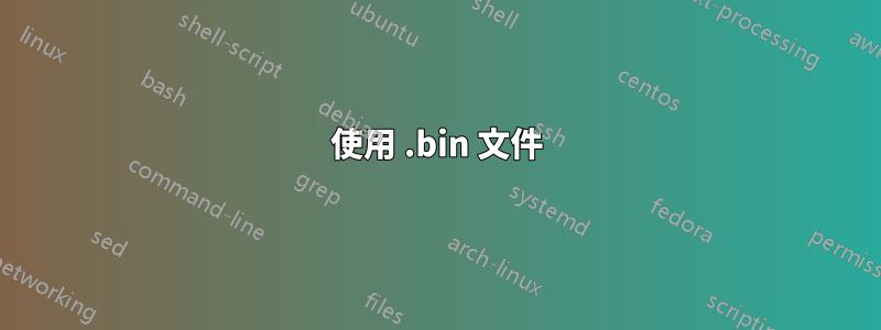 使用 .bin 文件