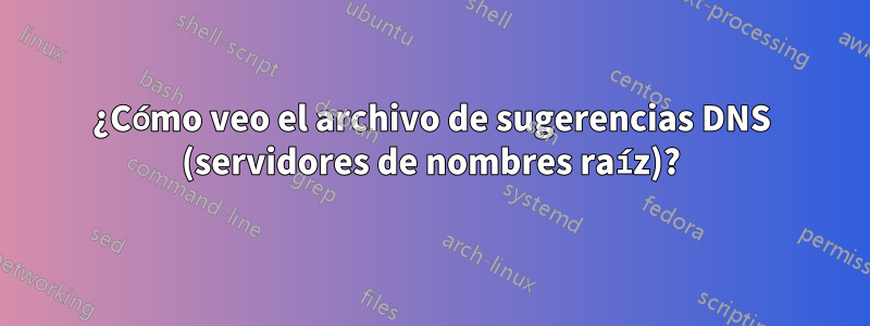 ¿Cómo veo el archivo de sugerencias DNS (servidores de nombres raíz)?